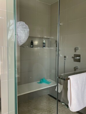 Shower, hair dryer, bidet, towels