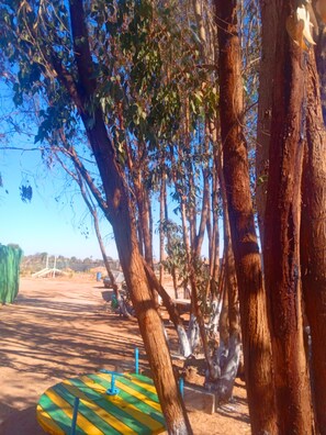 Property grounds - Authentic traditional Berber experience  (Agadir)