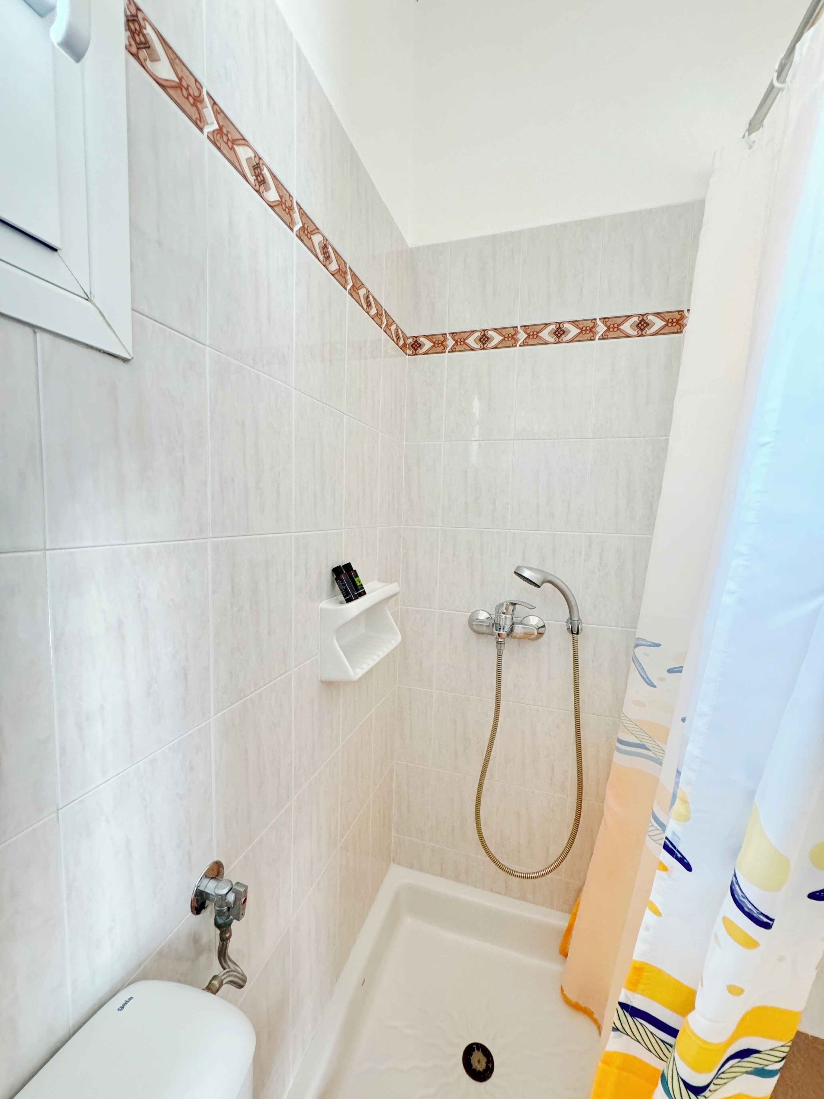 A bathroom with a shower, toilet, and a shelf with toiletries.