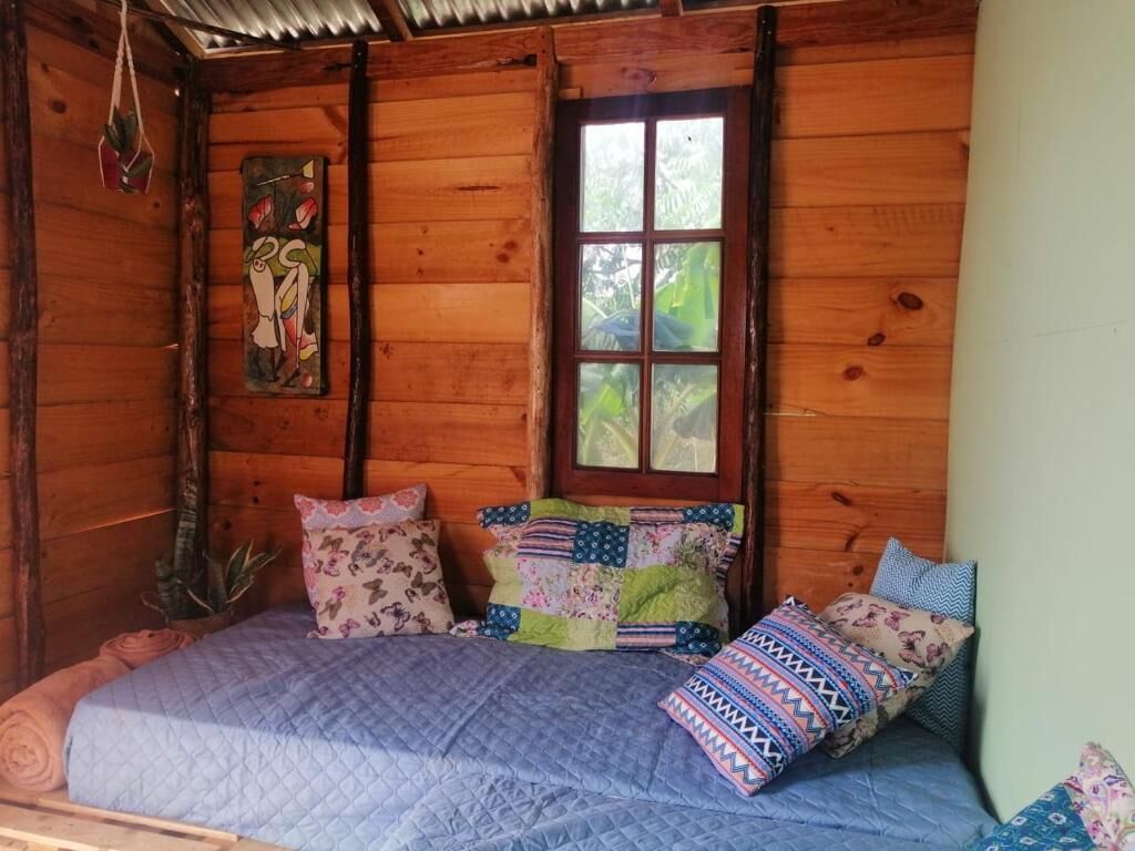 Una habitación acogedora de madera con una cama, almohadas, una ventana y una obra de arte colgada en la pared.