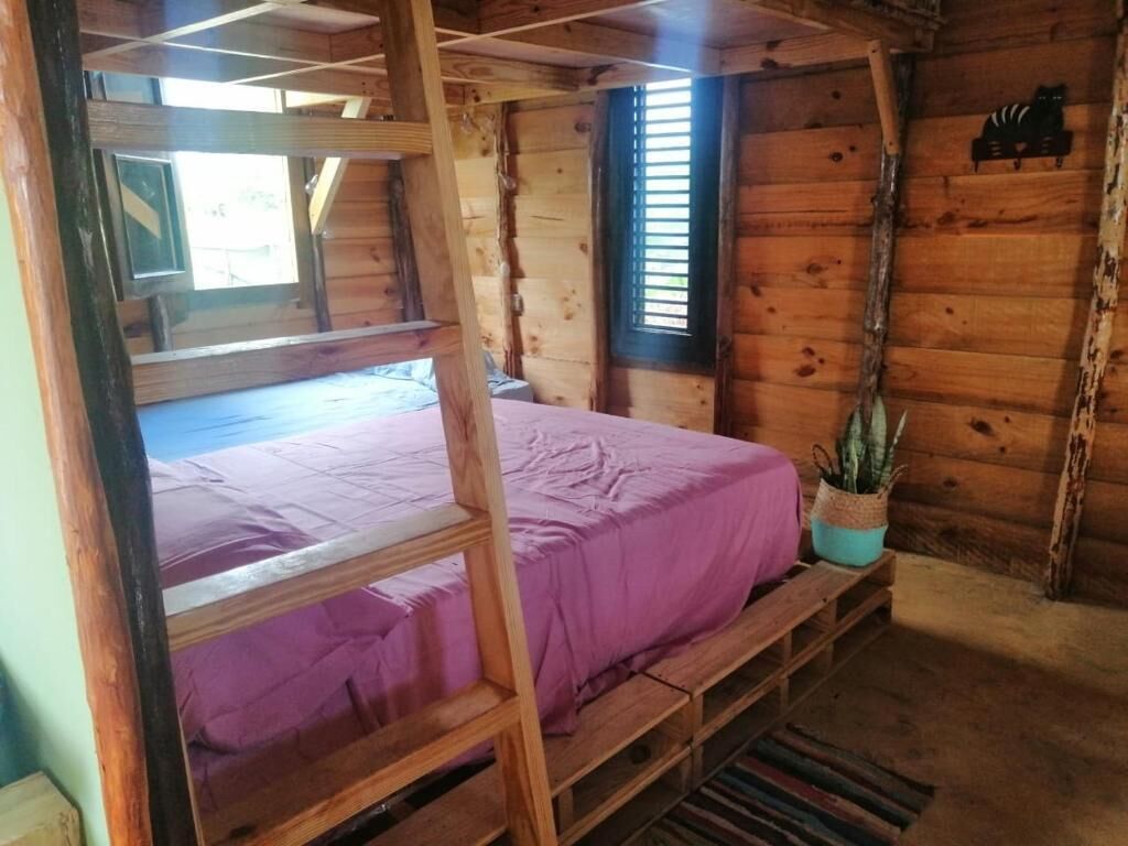 Een houten kamer met een stapelbed, een raam met zonwering en een potplant.