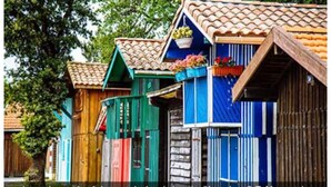 Färgglada trähus som används av fiskare, med taklagda tak och blomkrukor.