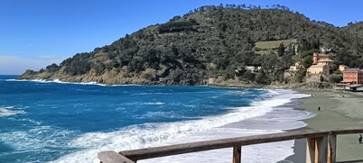 Orto dei Rolli