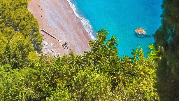 A coastal landscape with a rocky shoreline, clear turquoise waters, and dense green vegetation. - Villa Vanessa in Positano (Vico Equense)
