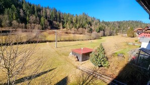 A rural landscape with a small wooden structure, a fenced area, and a forest in the background. - Ferienwohnung Schwarzwaldsegen mit Balkon (Todtmoos)