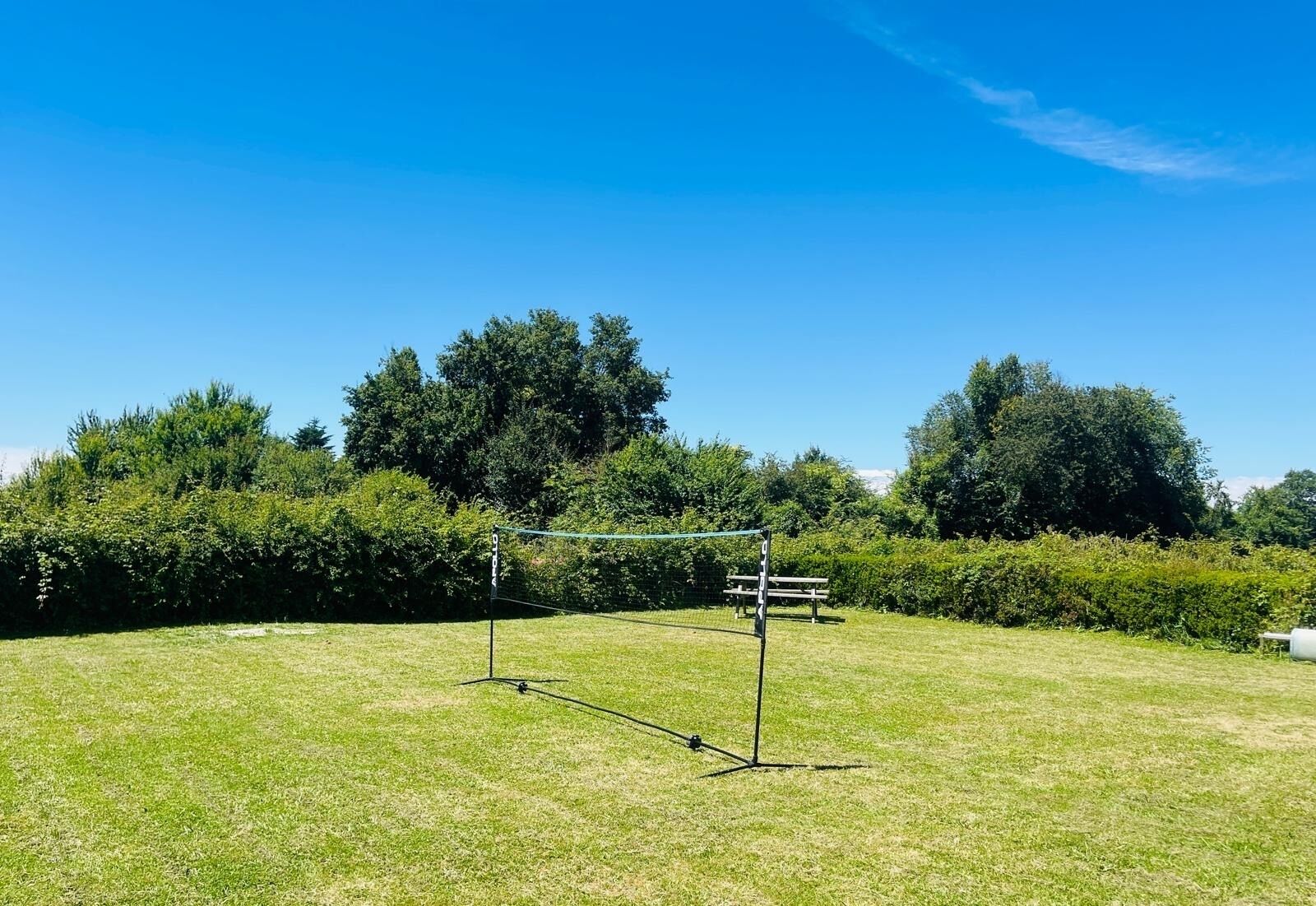 On voit clairement un filet de volley-ball installé dans un champ herbeux, avec des arbres en arrière-plan.