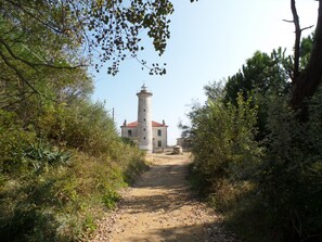 Un sendero de tierra que conduce a un faro con techo rojo, rodeado de follaje denso.
