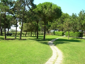 Stroll through a serene park with a winding pathway and lush trees.