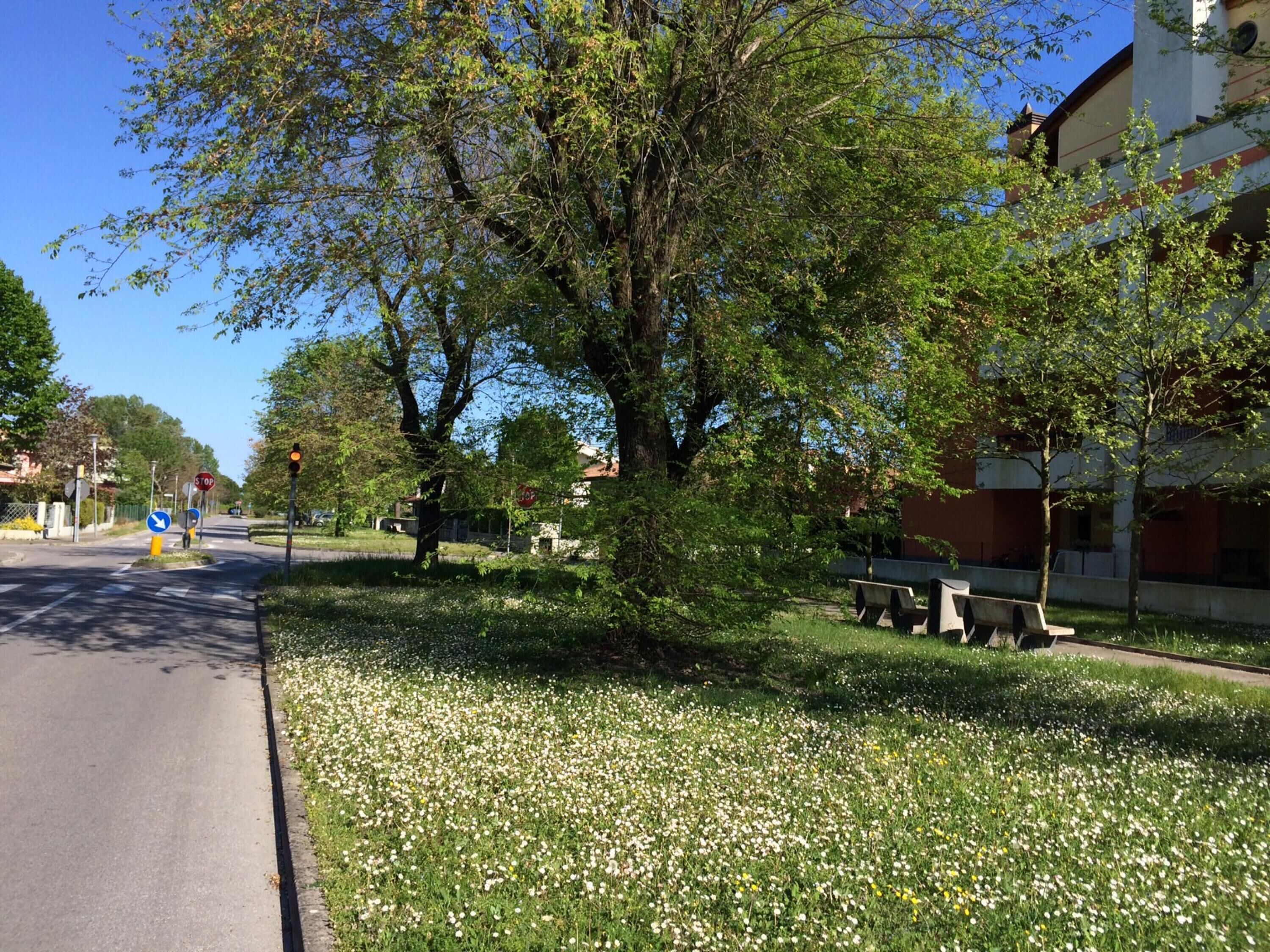 Un parc avec des bancs, un ciel dégagé et une route avec des panneaux de signalisation.