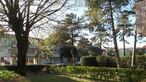 A well-maintained garden with a variety of trees and shrubs, a neatly trimmed hedge, and a clear view of a building with a red roof in the background.