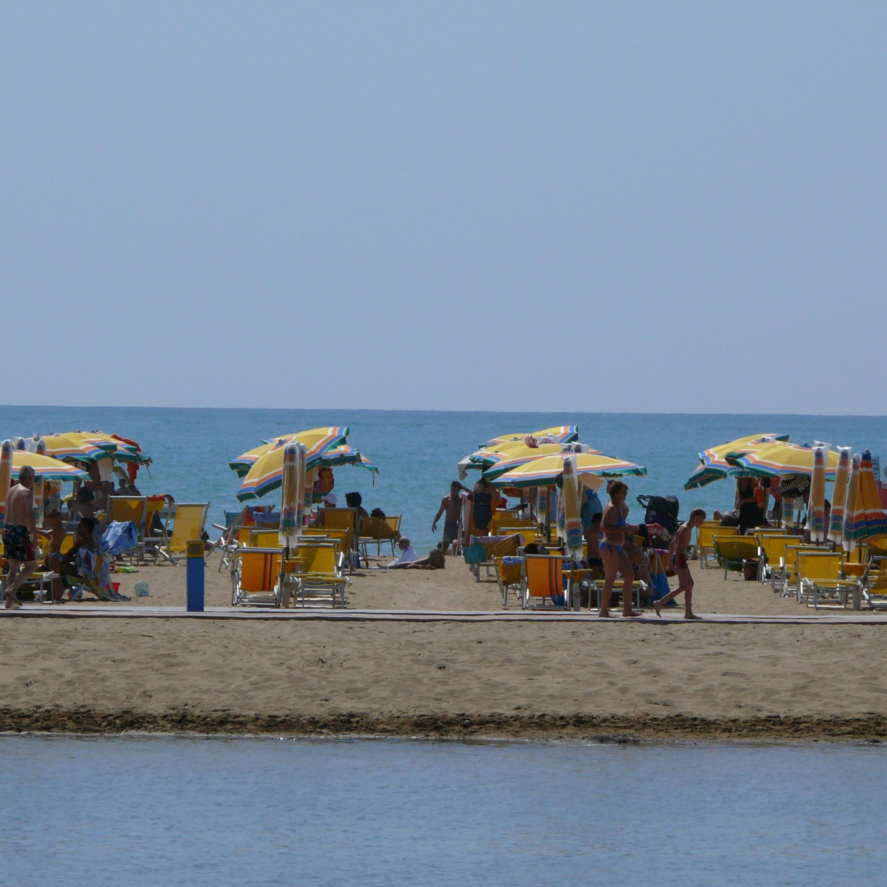 Una playa con filas de tumbonas y sombrillas.
