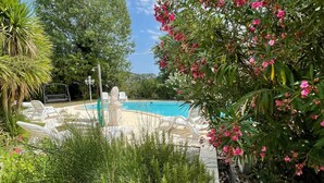 Unclassified image, 4 of 25, button - Villa Mischa in Bibione (San Michele al Tagliamento)
