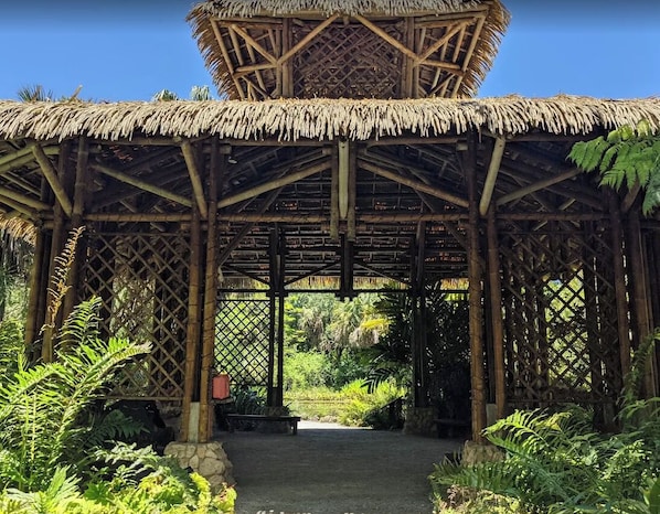 A bamboo structure with a thatched roof, surrounded by lush greenery.