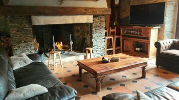 Una televisión, una chimenea, un reproductor de DVD