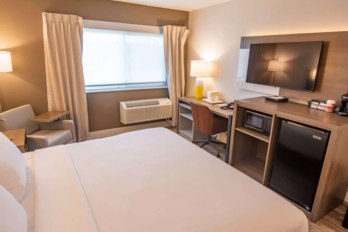 A hotel room with a bed, desk, chair, TV, mini-fridge, microwave, and a window with curtains.