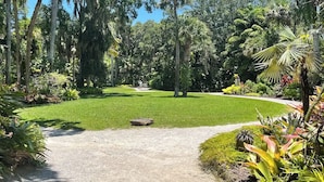 Un jardín bien cuidado con diversos árboles y arbustos, un camino despejado y un amplio césped central.