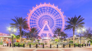 Experience the vibrant atmosphere of this lively plaza, surrounded by palm trees and commercial establishments.