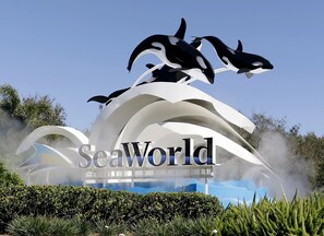 Experience the majesty of SeaWorld's iconic wave-like structure.