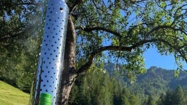 Una botella de vino blanco y una copa sobre una mesa de madera, con una vista panorámica de un paisaje verde y montañas al fondo.