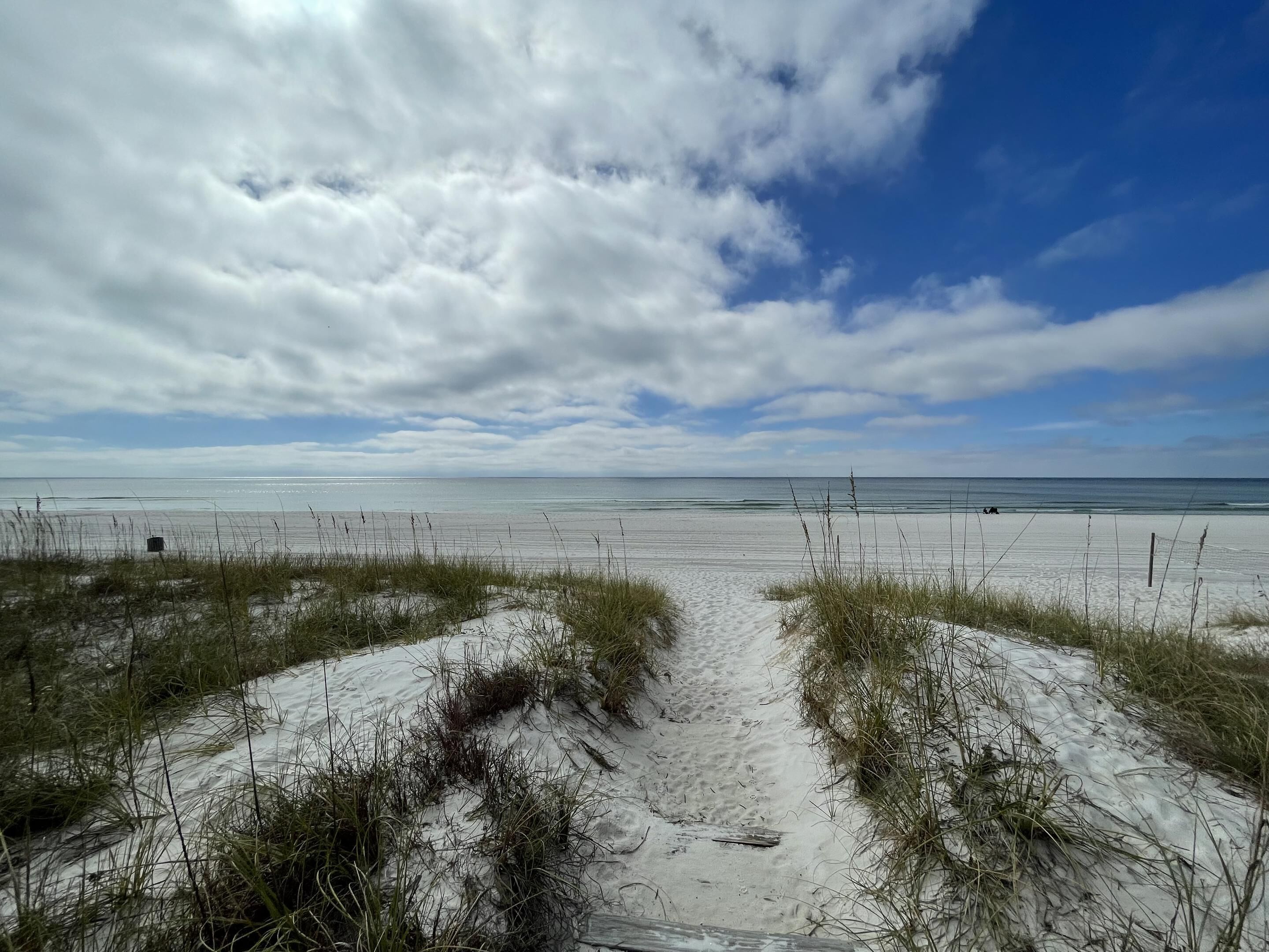 A beach with a sandy path leading to the water, surrounded by grass and a clear sky.