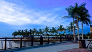 A waterfront promenade with palm trees, a metal railing, and a paved walkway.