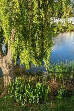 Un étang bordé d’arbres, offrant une vue dégagée sur l’eau et la végétation environnante.