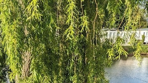 A tree-lined pond with a clear view of the water. - Beautiful 2 Bed Caravan Southview Park Skegness (Skegness)
