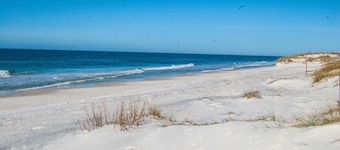 Scallop Cove #2 - Scalloping Sunrise - Bayfront, Pet Friendly, Save 15% on 25' Bookings!