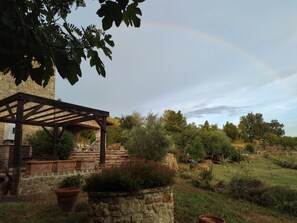 Premier Room | Courtyard view