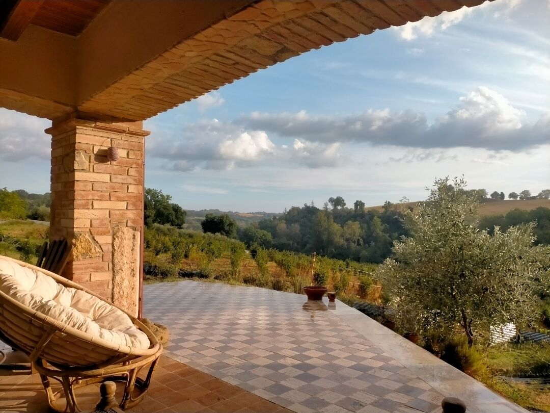 Premier-Zimmer | Terrasse/Patio