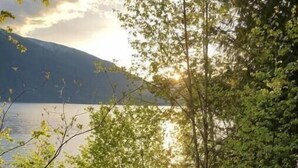 A wooden staircase leading down to a body of water, surrounded by trees. - Tropical, elegant, artistic, sparkling clean, with no light pollution.
AMAZING. (Gray Creek)