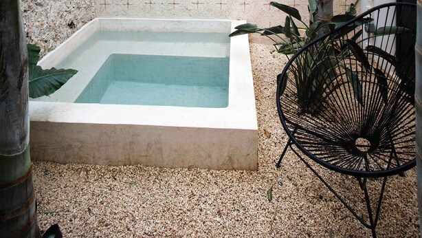 Ein kleiner, abgegrenzter Außenbereich mit einem rechteckigen Pool, umgeben von einer strukturierten Mauer und einer Palme.
