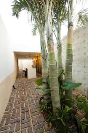 Property grounds - Casa Chi'it - Centro de Mérida - Luxury House (Mérida)