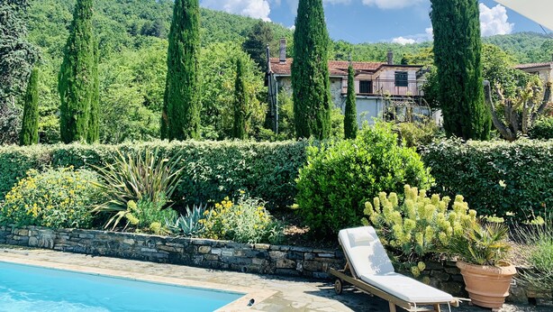 A pool area with a lounge chair, surrounded by greenery and a stone wall.