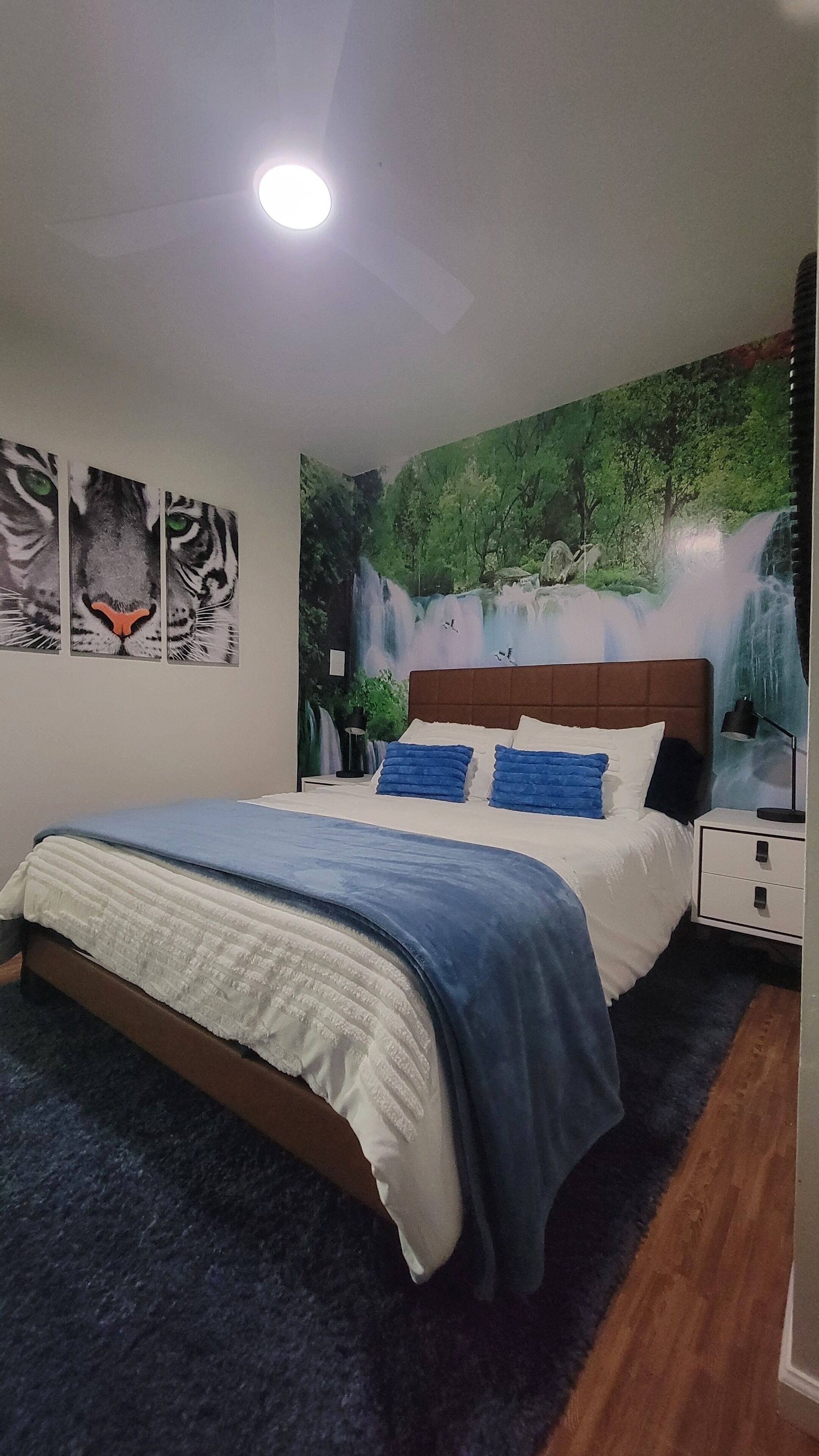 4 habitaciones, escritorio, tabla de planchar con plancha y wifi gratis 