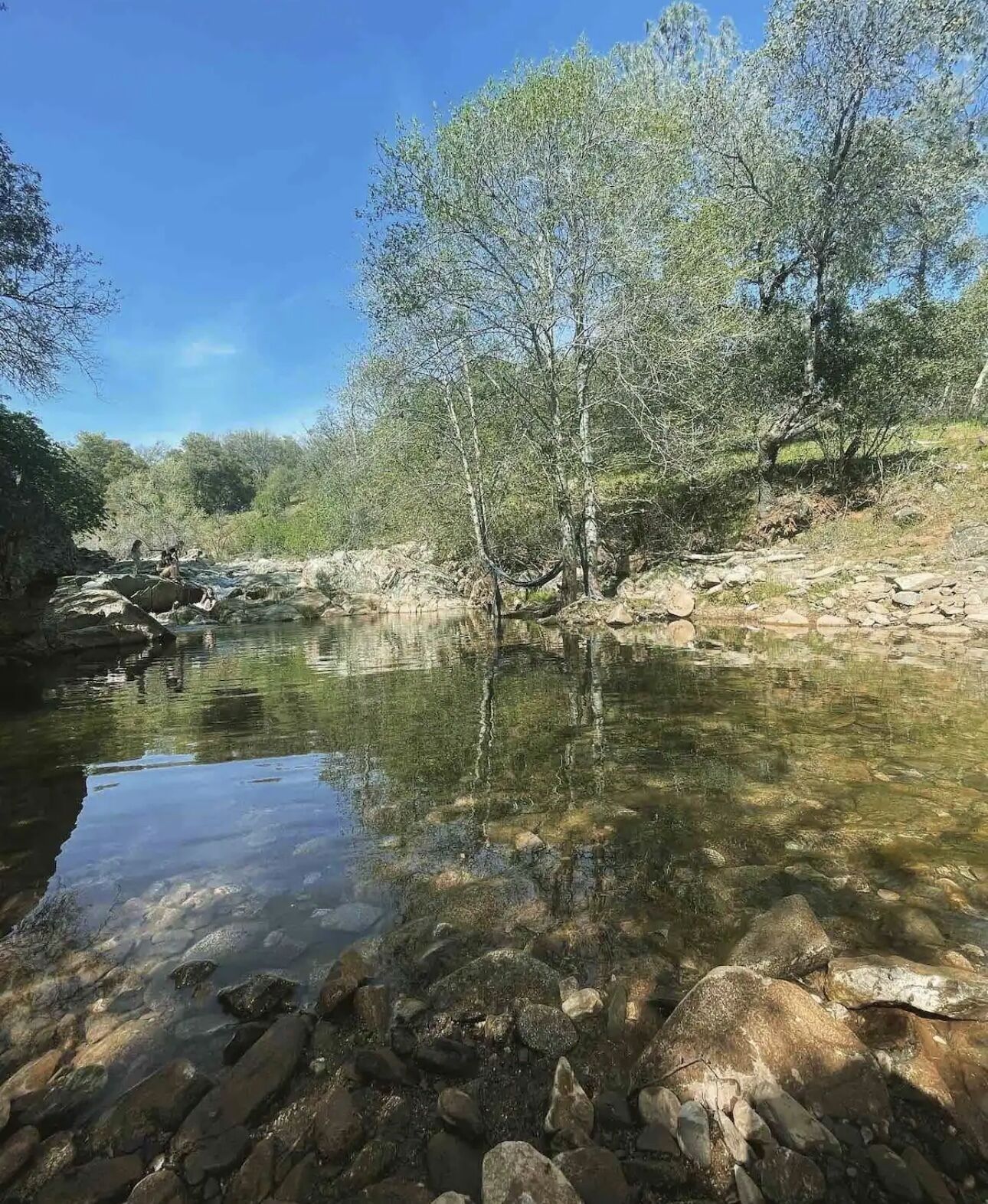 A clear river with rocks and trees, surrounded by a natural landscape.