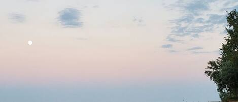 Vlak bij het strand, strandlakens