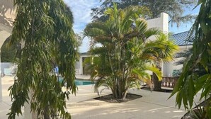 A courtyard with a palm tree, a concrete pool, and a building with a white facade. - Spacious Pool House....completely Private!! (Lakeland)