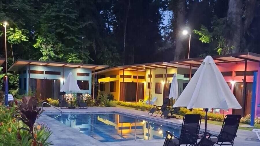 Caribbean Blue Morpho