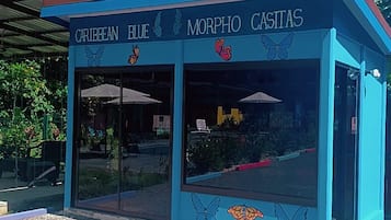 Een klein, blauw etalage met de naam 'Caribbean Blue Morpho Casitas' en vlinderdecoraties.