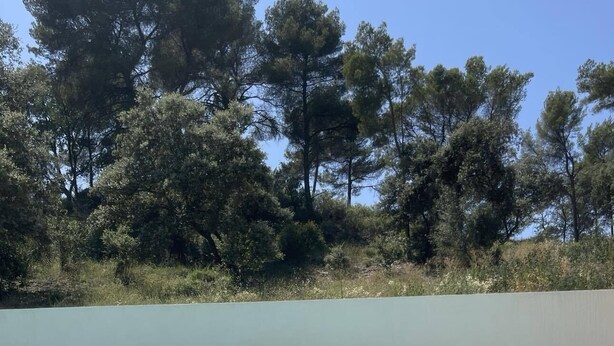 Een zwembad met een helder blauw wateroppervlak, omringd door een lage stenen muur en een gazon met bomen op de achtergrond.