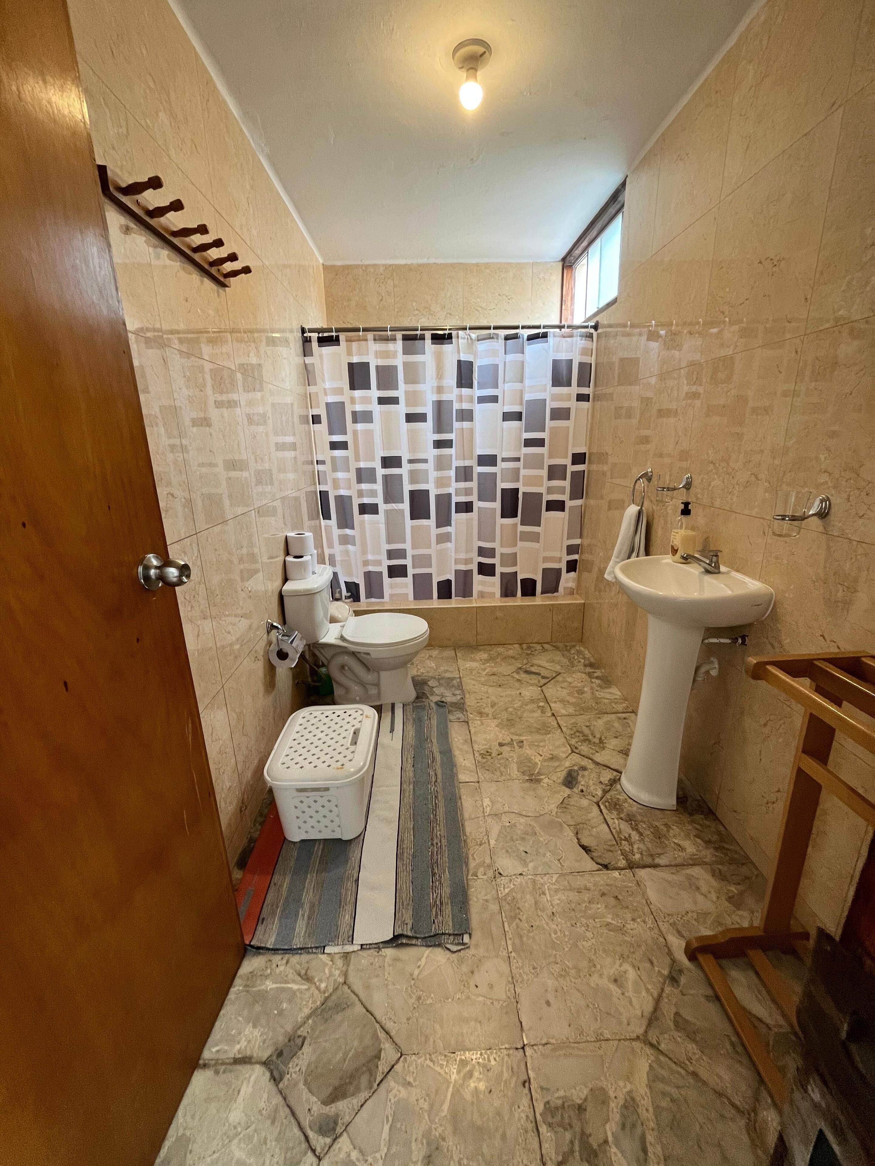 A bathroom with a toilet, sink, and shower curtain.