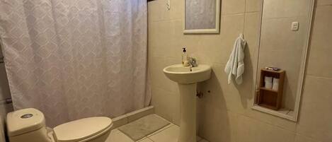 Shower, free toiletries, hair dryer, towels