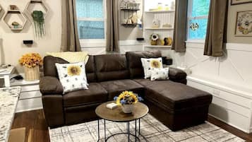 Smart TV, video games, books, video library