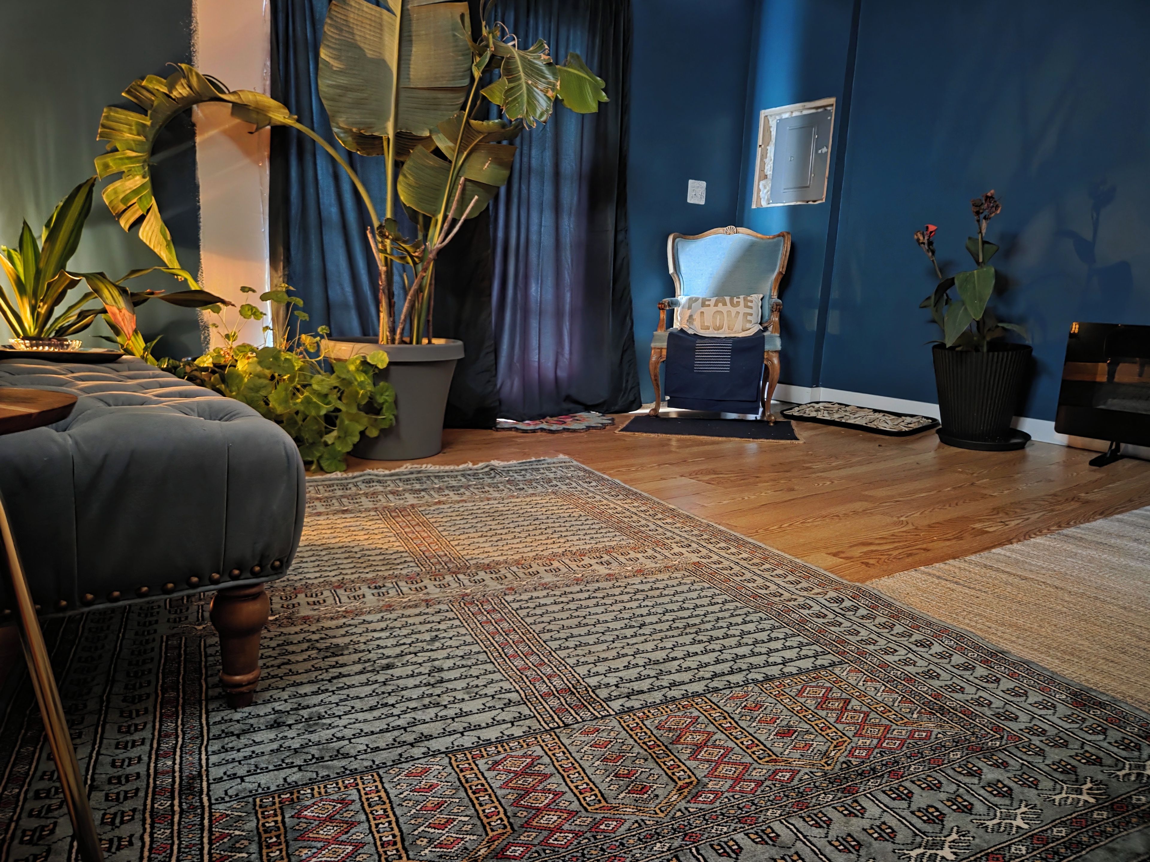 Una habitación con alfombra estampada, un sillón con cojín y plantas en macetas.