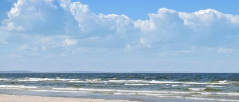 بالقرب من الشاطئ