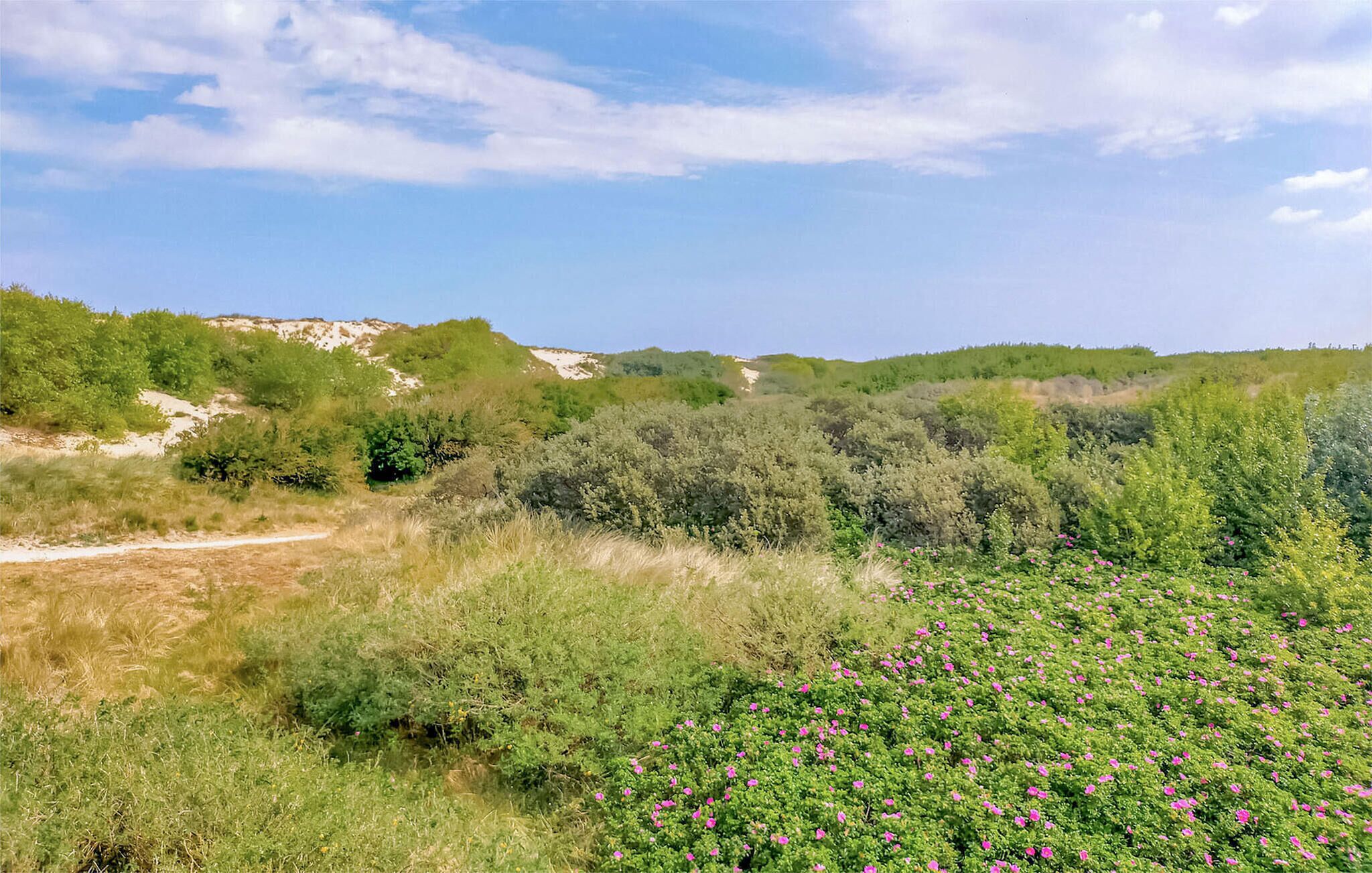 Un paysage naturel avec un sentier de terre, une végétation verdoyante et des collines en arrière-plan.