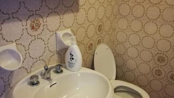 Hair dryer, bidet, towels, soap