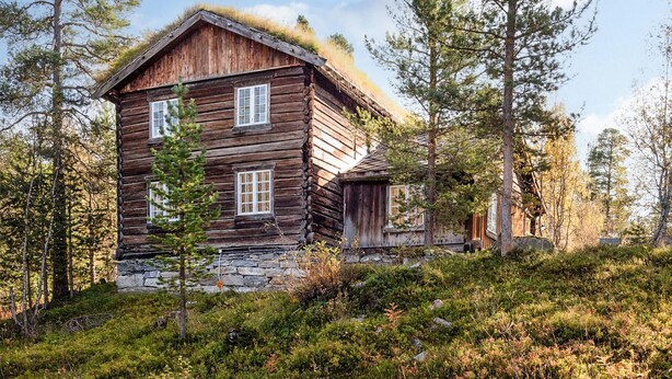 Eine rustikale Holzhütte mit Stein Fundament, umgeben von dichtem Wald.