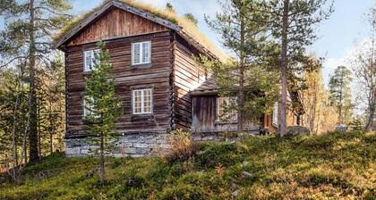 Belle maison Ă Bjorli avec WiFi